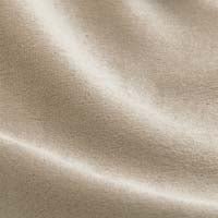 Cream Plush Velvet fabric swatch