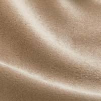 Mink Plush Velvet fabric swatch